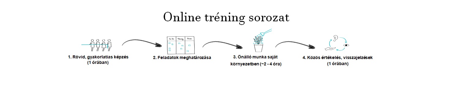 Onlinle tréning sorozat 2020