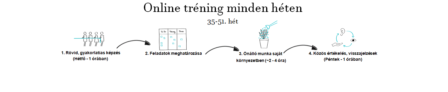 Onlinle tréning sorozat 2020