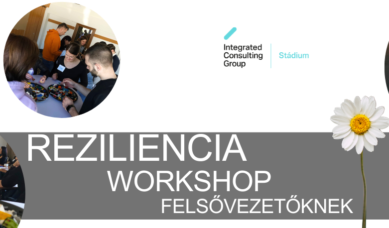 rezfelso3